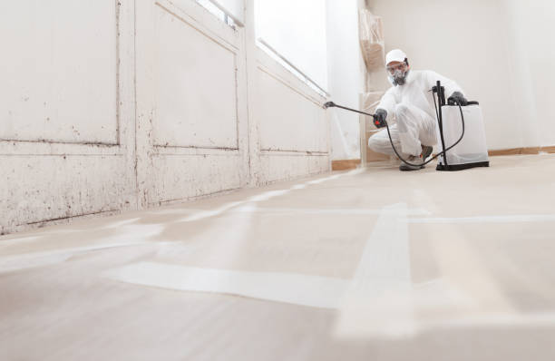 24/7 Emergency Basement Mold Remediation experts in Fulton, TX